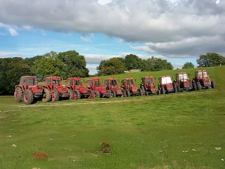 A group of 10 old SAME tractors lined up
