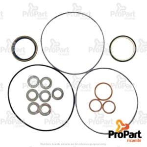 Orbital Unit Seal Kit suitable for Deutz-Fahr, SAME - 0.010.3698.1