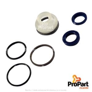 P/Steer Ram Seal Kit suitable for SAME - 0.176.6365.6/10