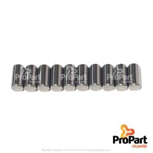 Needle Roller Pack/10 suitable for John Deere, Deutz-Fahr, SAME - 0.900.0092.3