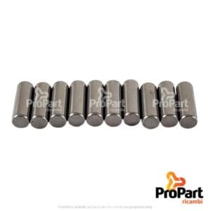 Needle Roller (10 Pk) suitable for Deutz-Fahr, SAME - 0.900.0117.2