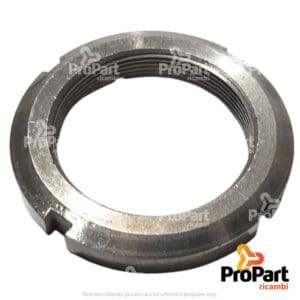 Lock Nut LH suitable for Goldoni - 00023583