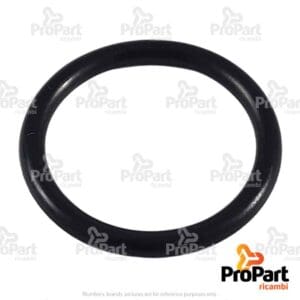 O Ring - 001051584