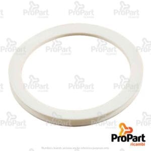 Sealing Ring - 001113764