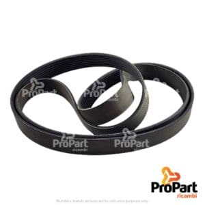 Multi-rib Belt suitable for Deutz-Fahr - 01183366