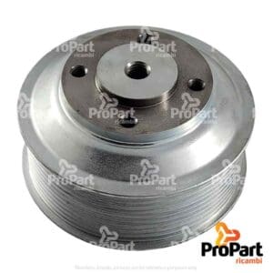 Pulley - 04500644