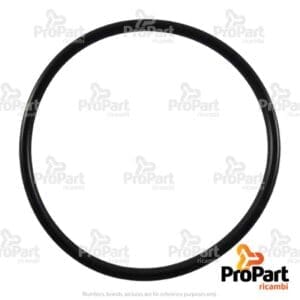 Special O Ring suitable for Goldoni - 06230155