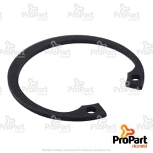 Circlip - 11059974