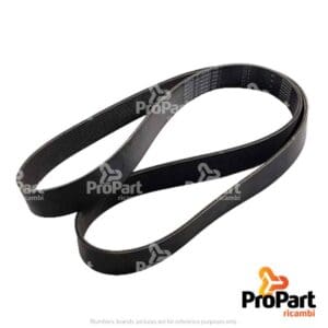 Multi-rib Belt - 1183387