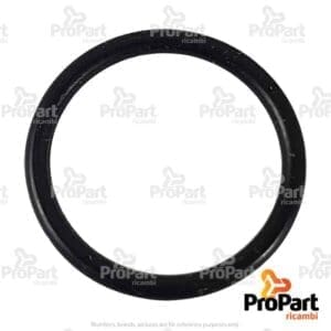 O Ring - 128359