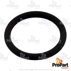 O Ring - 128825