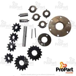Rear Diff Spider Gear Set - 1345842C3