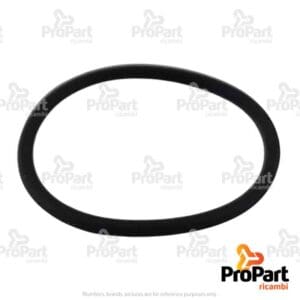 O Ring - 1441699X1
