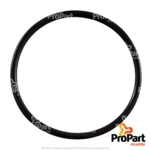 Pinion O Ring - 14459080