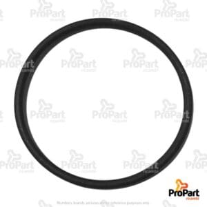 O Ring - 14459181