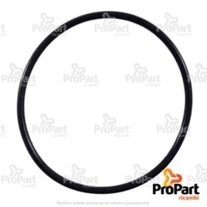 O Ring - 14459881