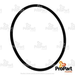 O Ring - 17284281