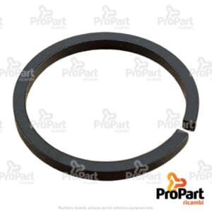 Sealing Ring - 192200220082