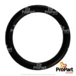 O Ring  17.13mm suitable for Deutz-Fahr, SAME - 2.1530.043.0