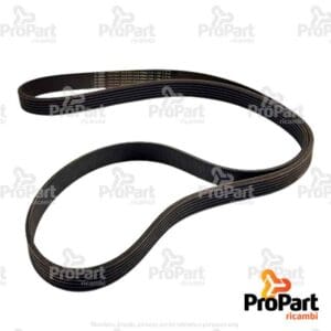 Multi-rib Belt suitable for SAME - 2.4119.171.0