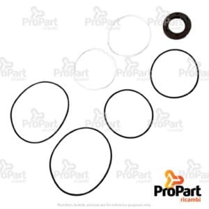Hydraulic Pump Seal Kit suitable for SAME - 2.4529.300.4