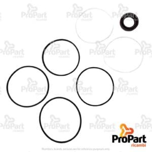 Hydraulic Pump Seal Kit suitable for SAME - 2.4529.301.0