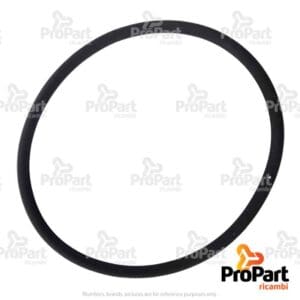 O Ring - 217405