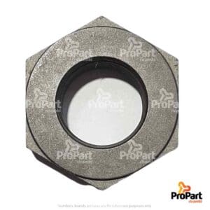 Pulley Nut suitable for VM Diesel - 21792041F