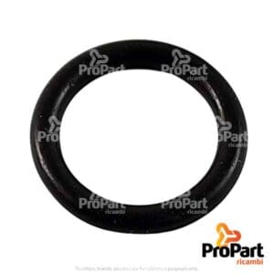 O Ring - 238-5013