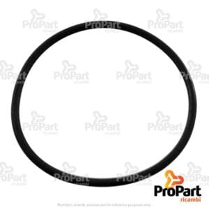 O Ring - 272778
