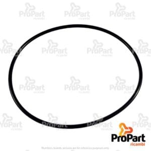 O Ring - 28184