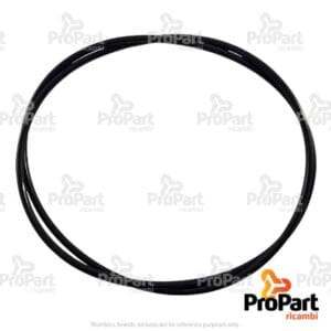 O Ring - 28579