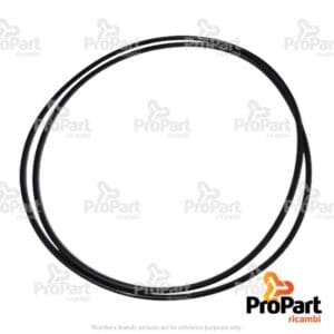 Rear Brake O Ring Large suitable for Massey Ferguson - 3382189M1