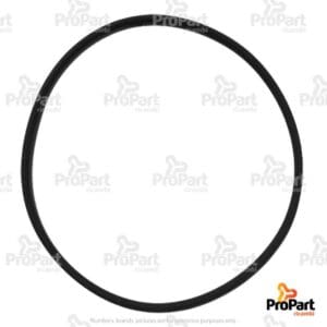 O Ring suitable for Landini - 3382252M1