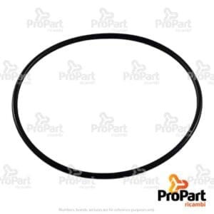 O Ring - 365513X1