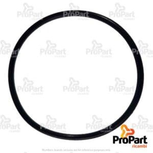 O Ring - 3656977M1