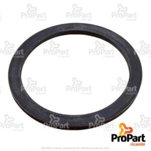 Washer - 4206611M1