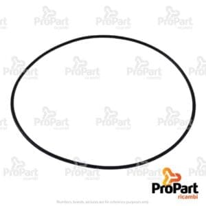 O Ring - 46320205