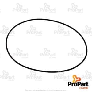 O Ring - 46320241
