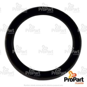Check Ring - 47230003