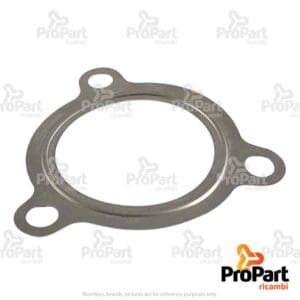 Turbo to Muffler Gasket - 504050114