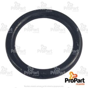 O Ring - 5115996