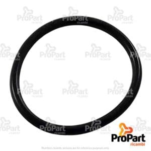 O Ring - 5135736
