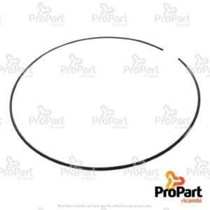 Snap Ring  222mm - 5151438