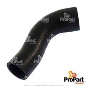 Radiator Hose - 5166566