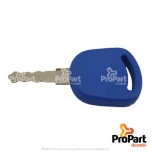 Ignition Switch Key - 82030143
