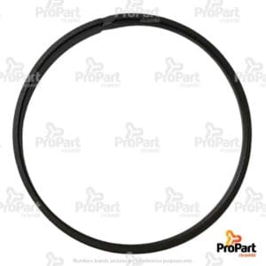 Sealing Ring - 83911795