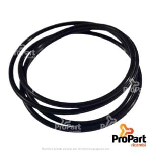 O Ring - 83997832