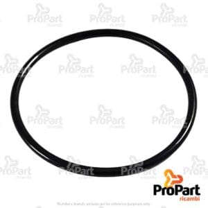 O Ring - 86977781