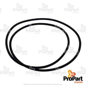 O Ring - 87017583